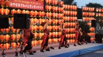 DSC01841 (800x450).jpg